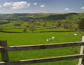 Ash Hining Farm