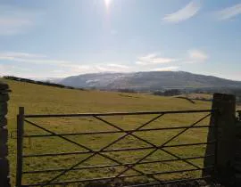 Ash Hining Farm