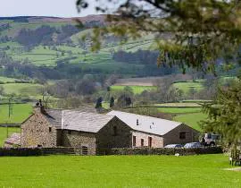 Ash Hining Farm