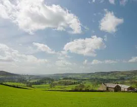 Ash Hining Farm