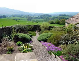 Ash Hining Farm
