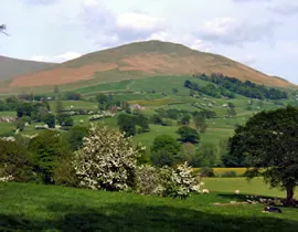 Ash Hining Farm